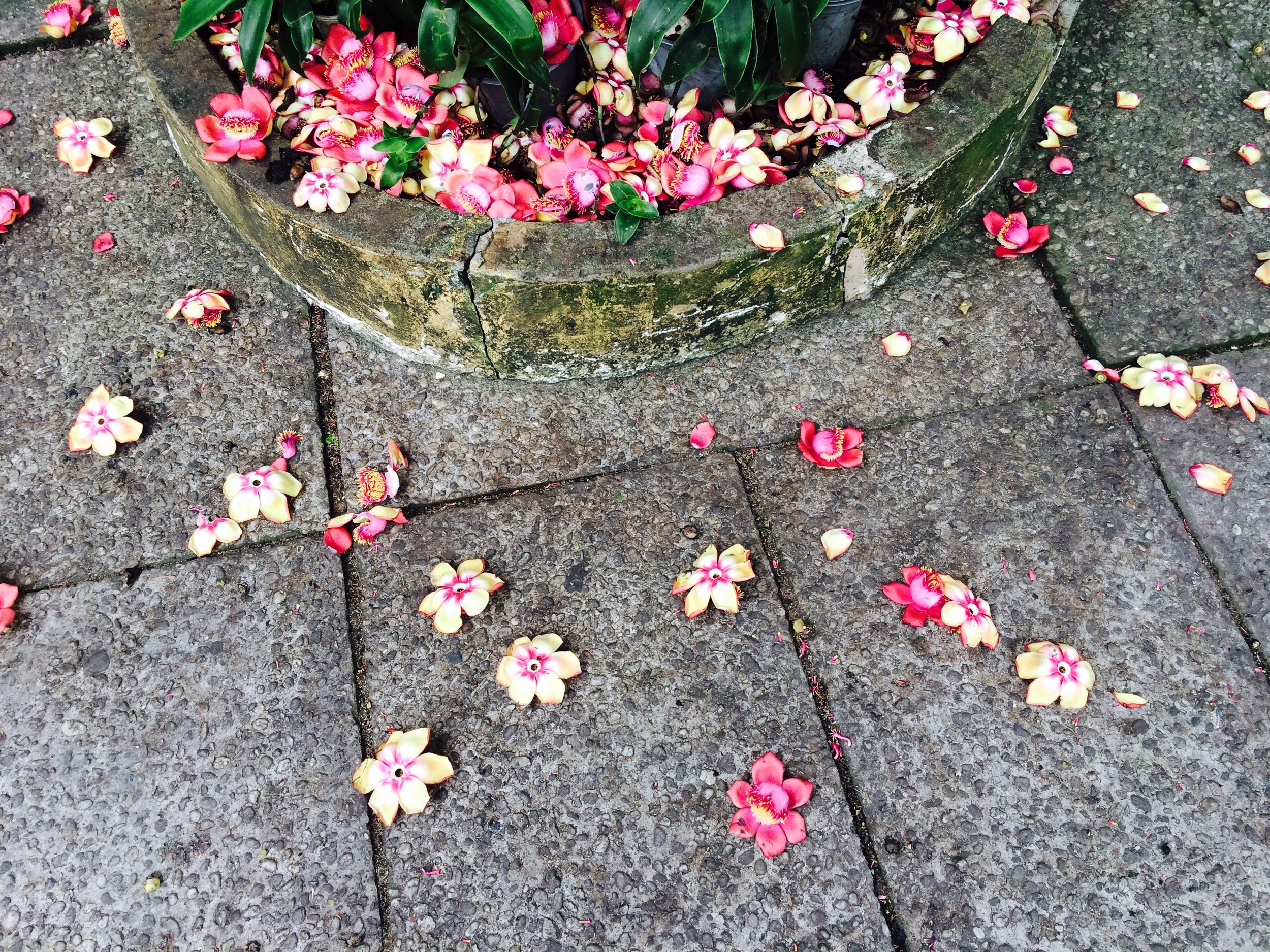 FEBRUARY 2019 Opening Up with EndorphinGirl®