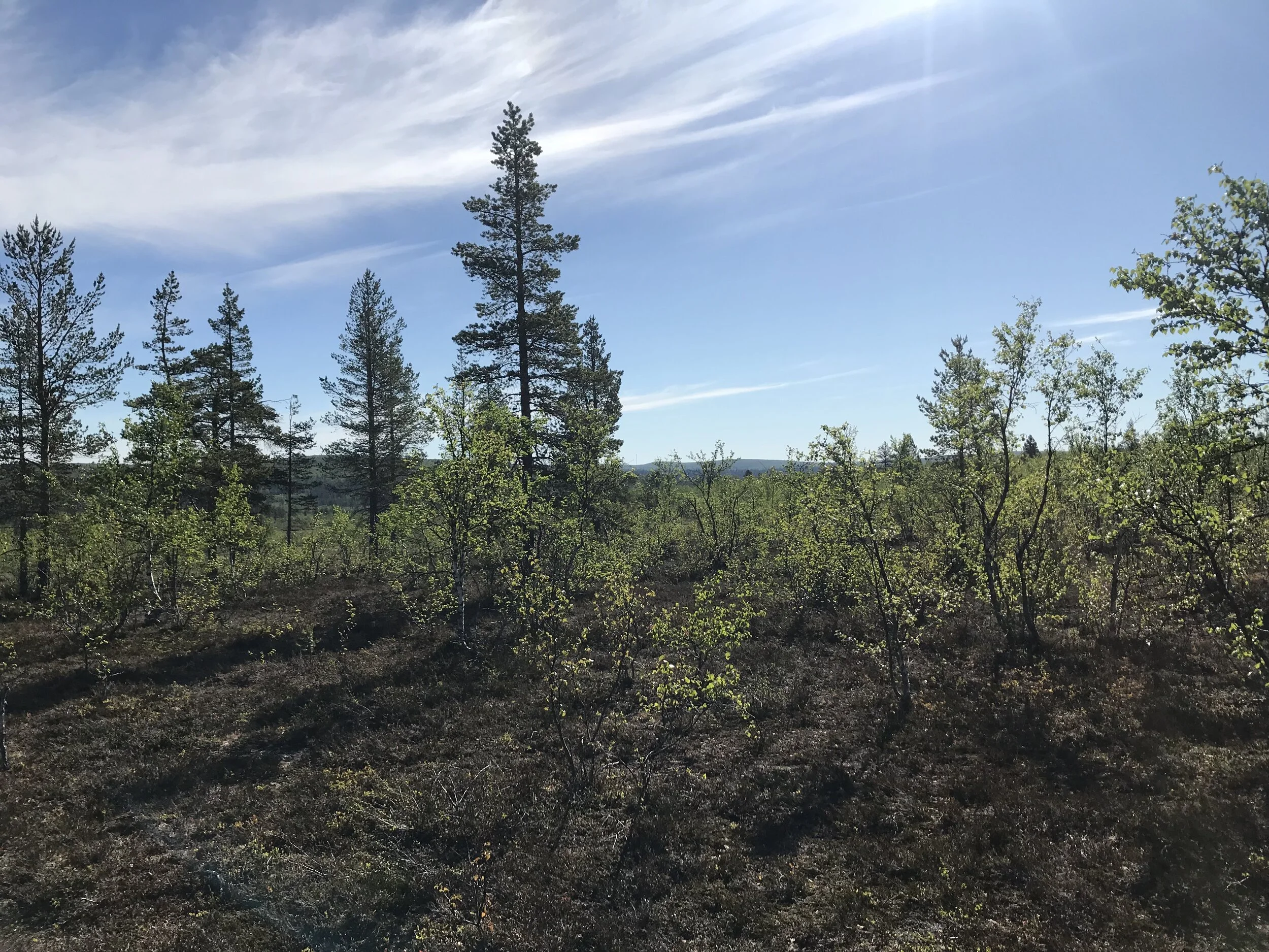 JULY 2020 Slowing Down + Softening