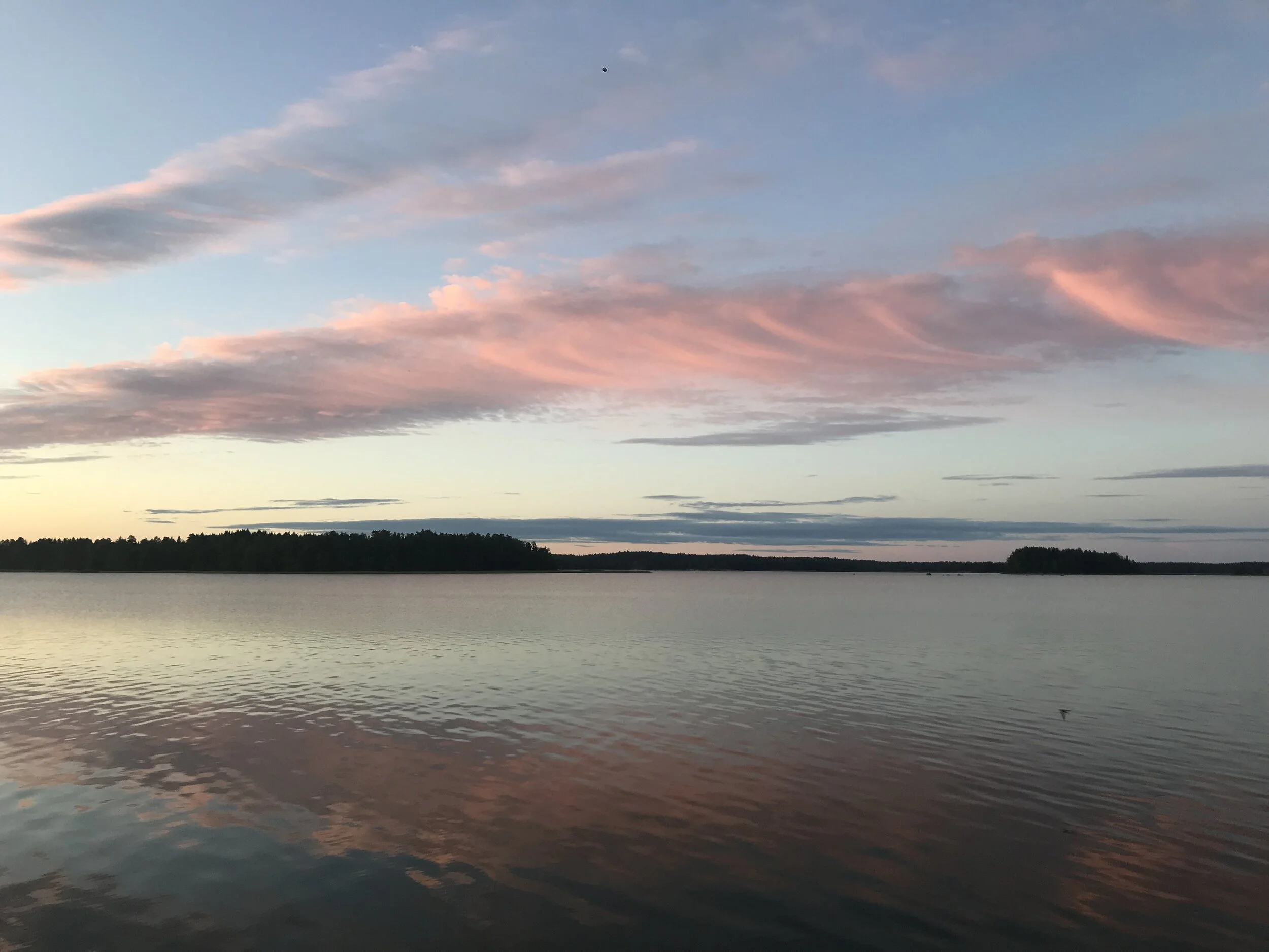 AUGUST 2020 Practicing Inquiry