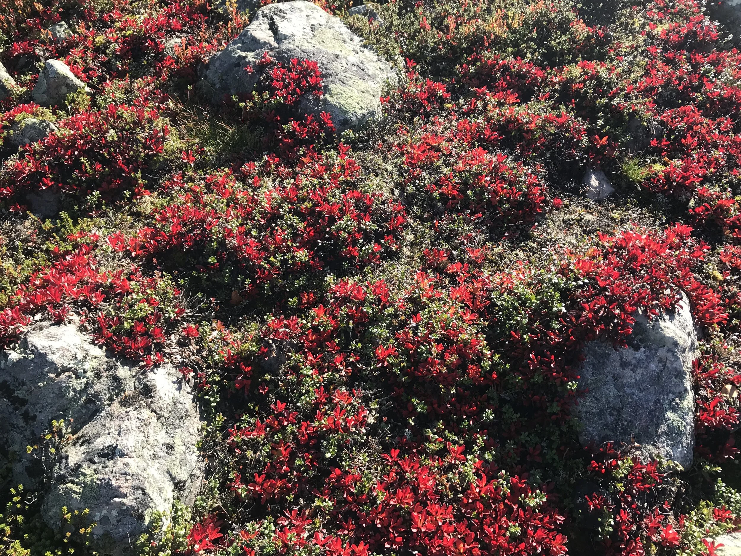 SEPTEMBER 2020 Intentions