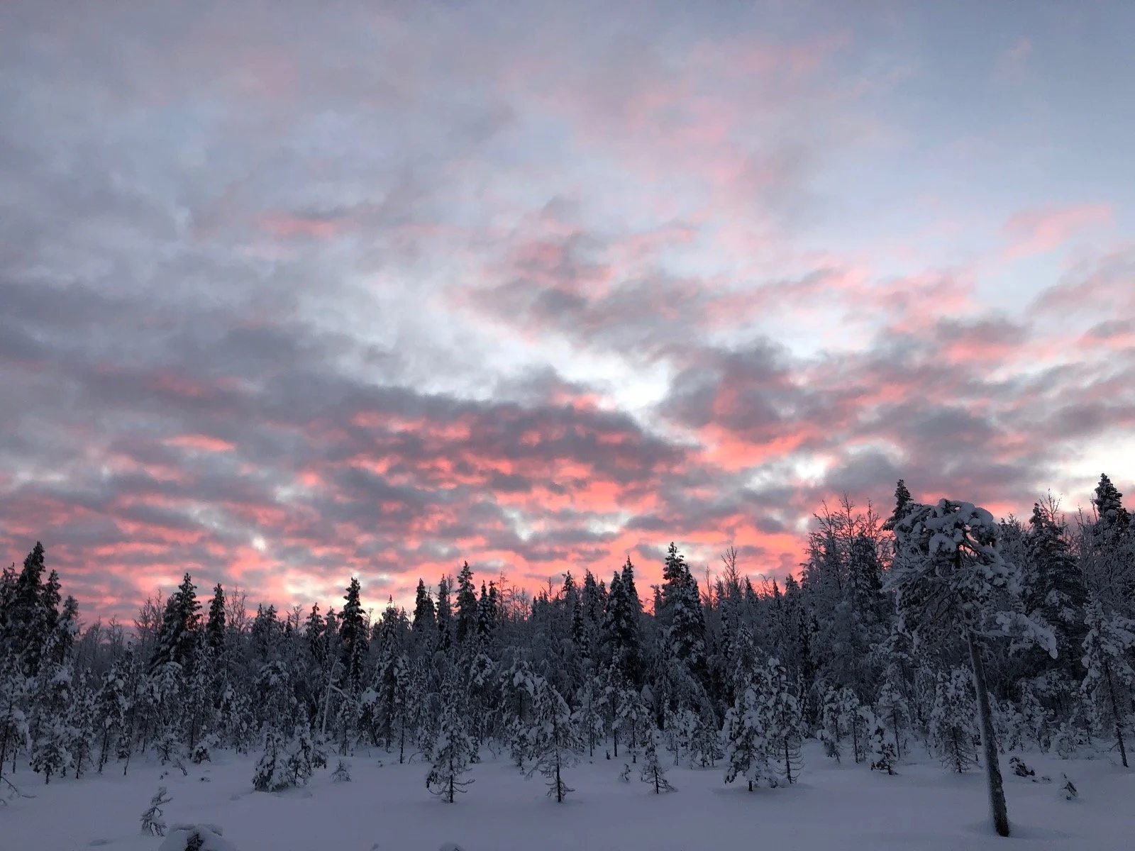 EndorphinGirl® well rather EndorphinGirls are at it!