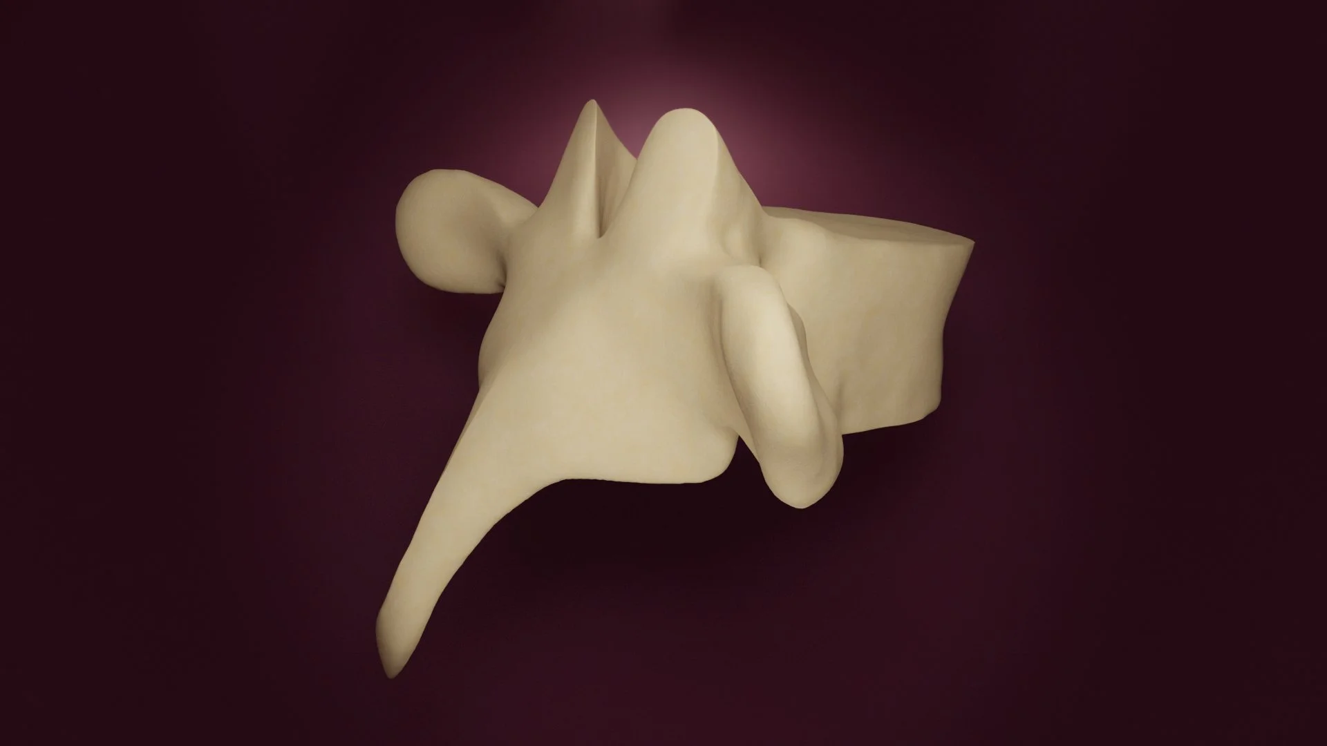 Vertebra PS edits.jpg