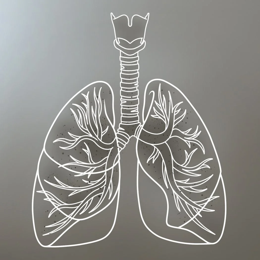 Lungs copy.jpg