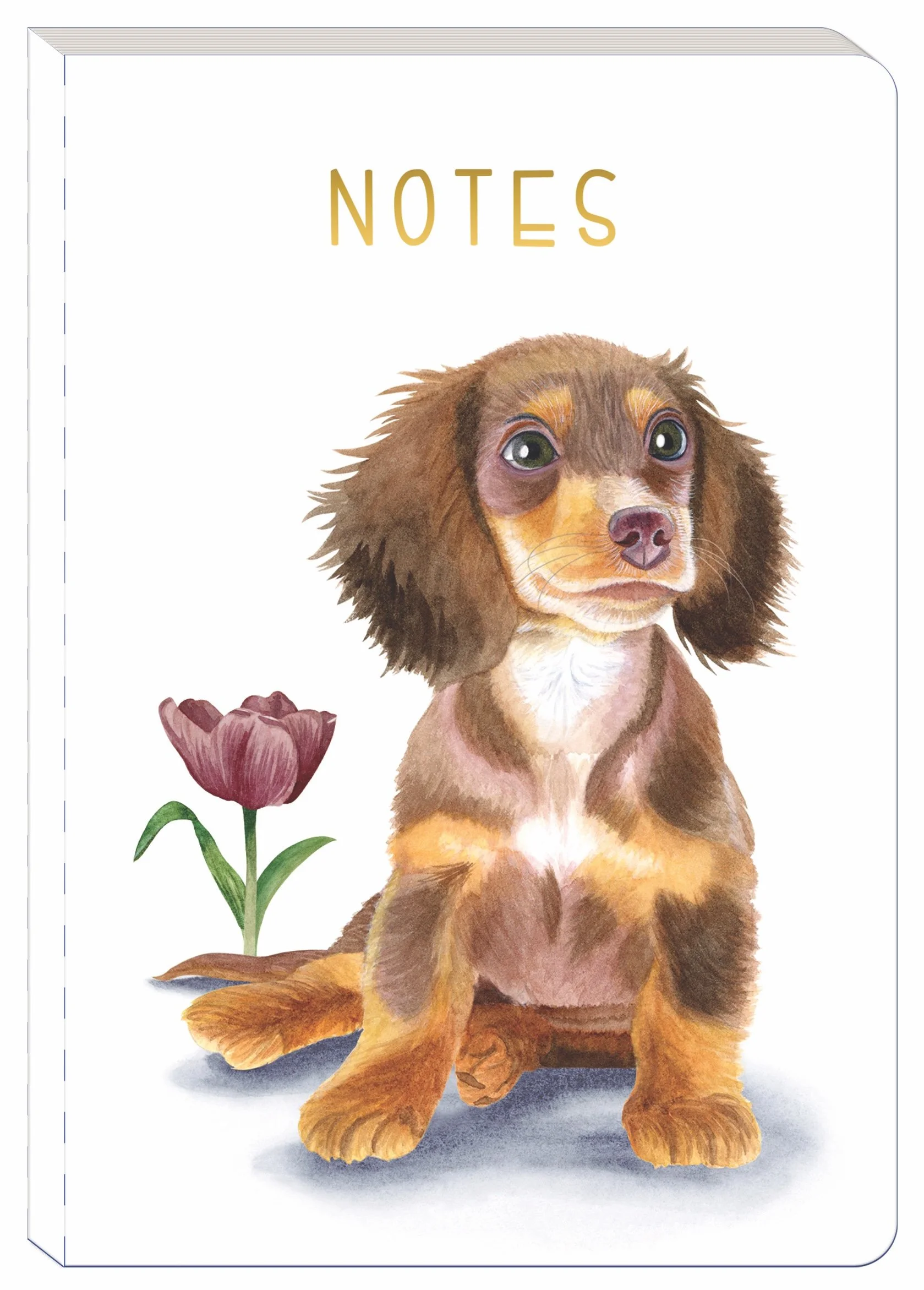 Notebook Cover - Dachshund.jpg