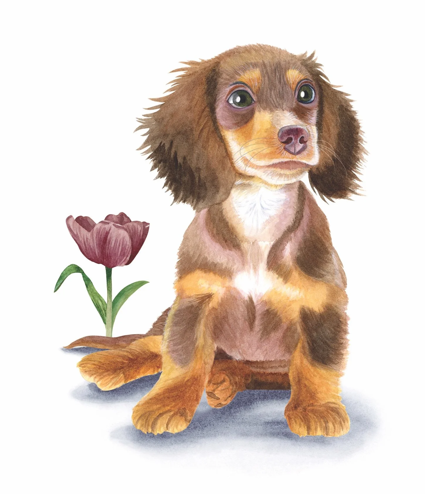 Puppy!.jpg