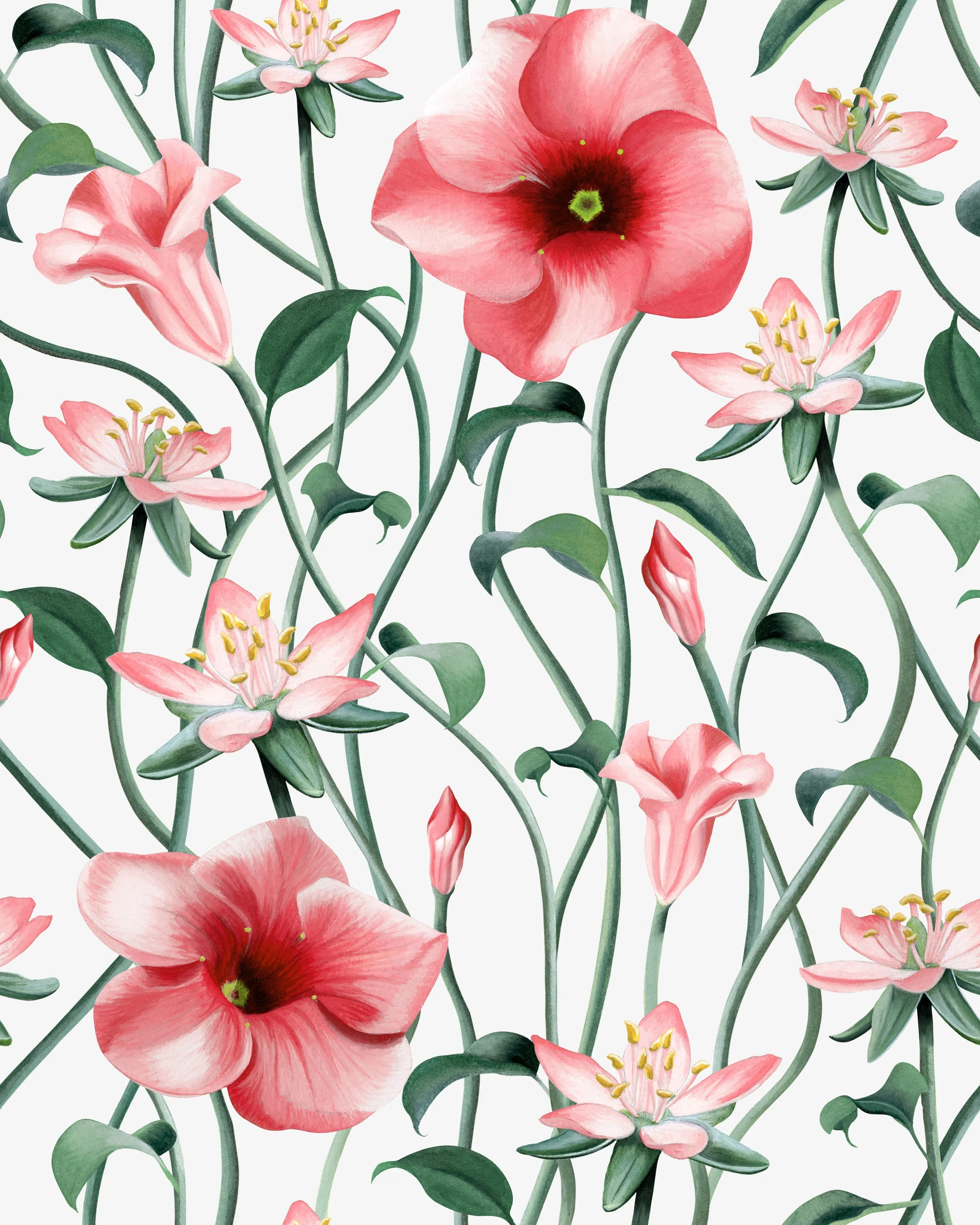 Allamanda Pattern white.jpg