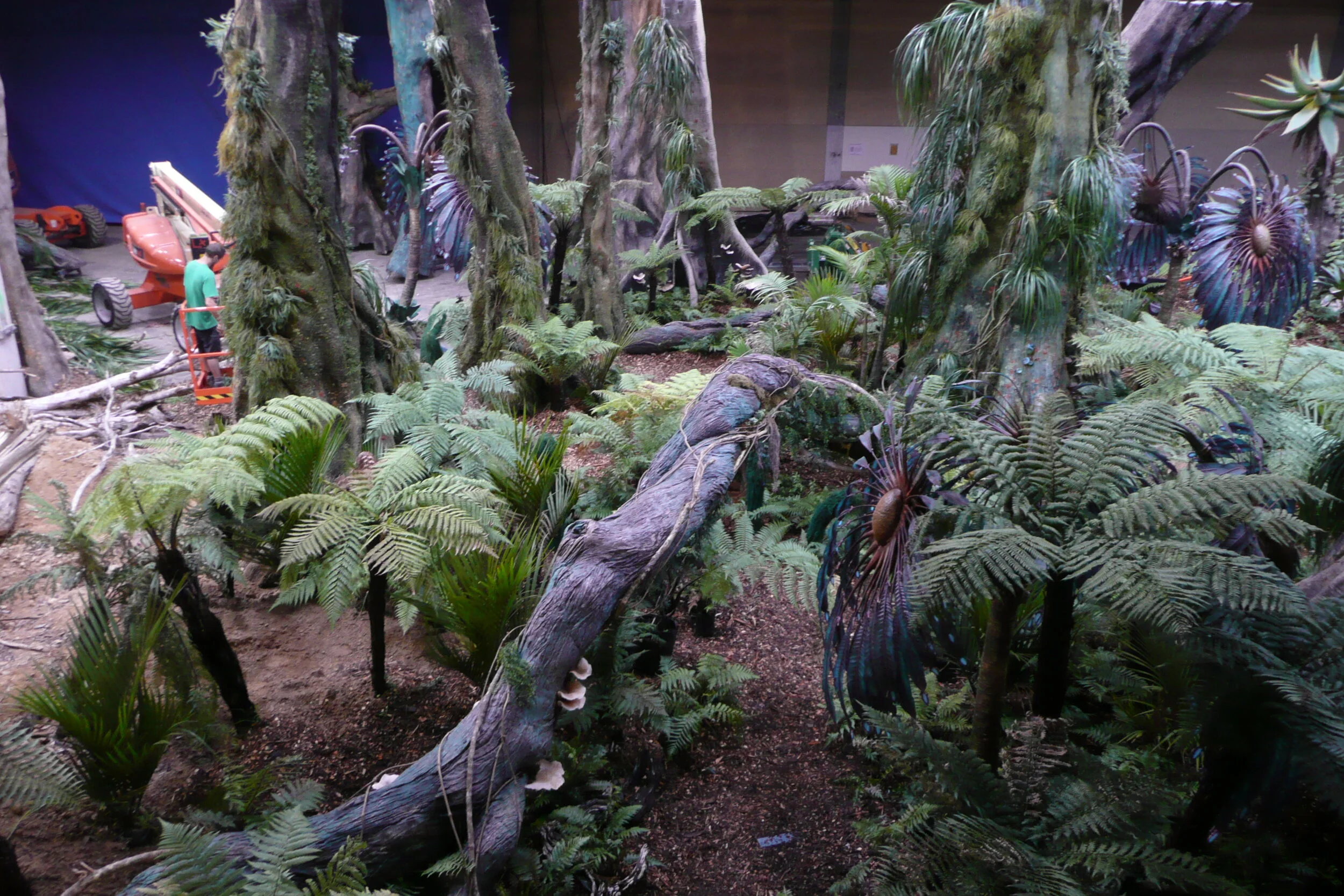  Most people who view Avatar perceive it as mostly CG created environments. It was, however, when human actors performed in a setting this was built but in limited scale. Whenever actors came in contact with the setting and enough of a perimeter arou