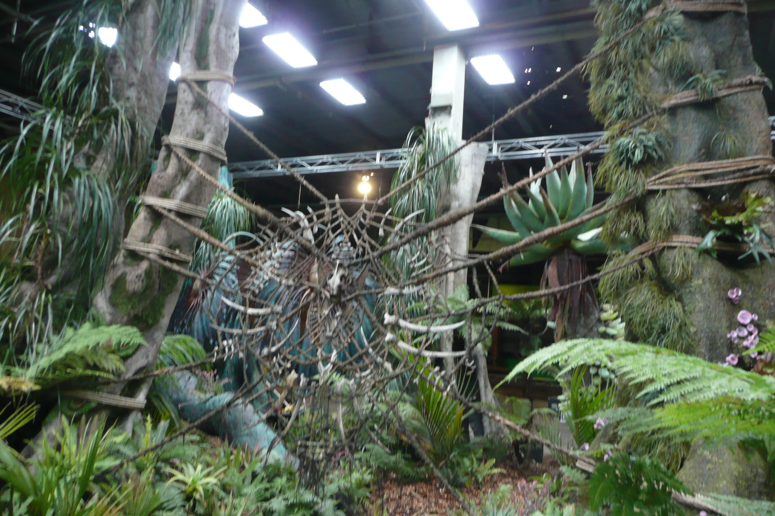 Rainforest (10).JPG