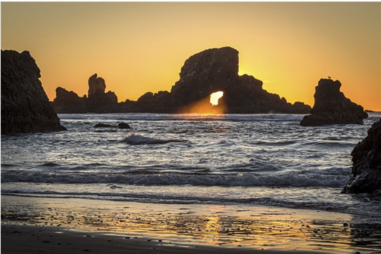  An Alien Landscape, yet familiar at this point of the movie. It’s purpose is create confusion/intrigue, as you believe Adam is an earthling. My inkling was to use a location that involved water as I felt humanoid life would depend on it. I also want