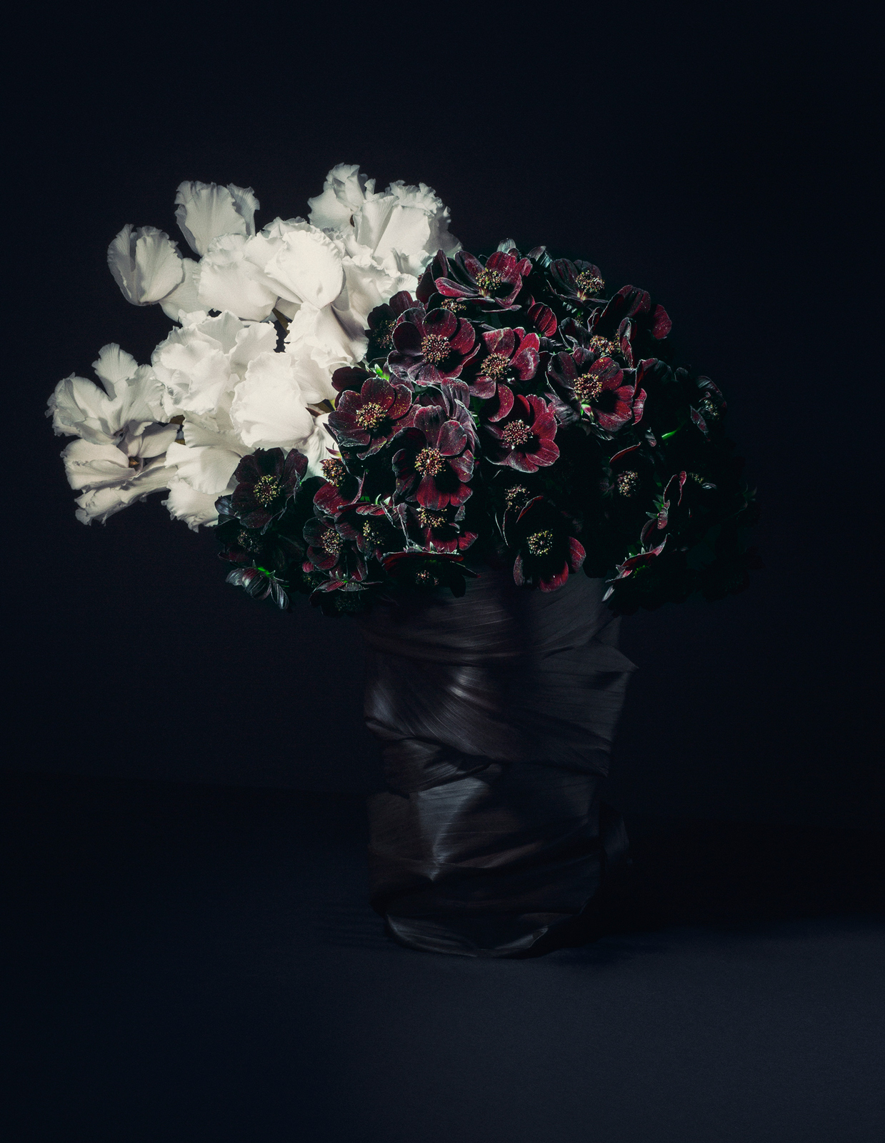  Arrangement by Mark Colle,  for  AnOther Magazine  