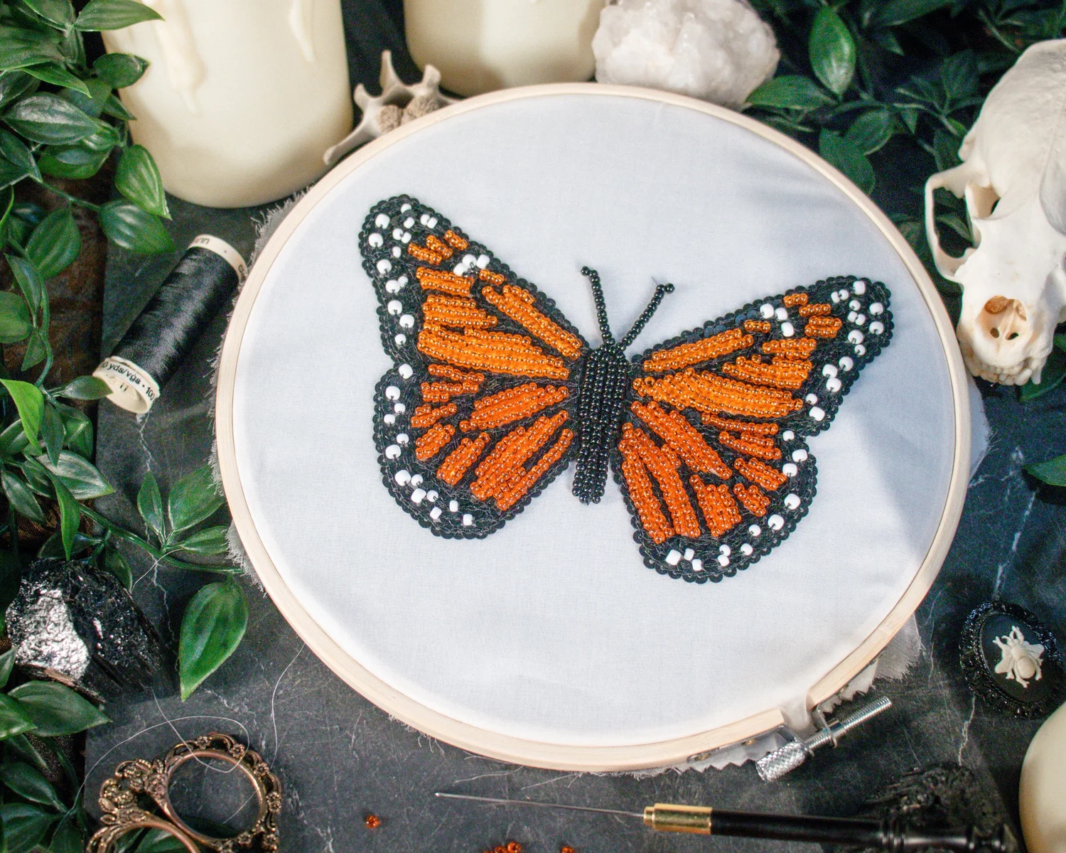 POL Embroidered Butterfly Pattern D-Ring Belt 40\