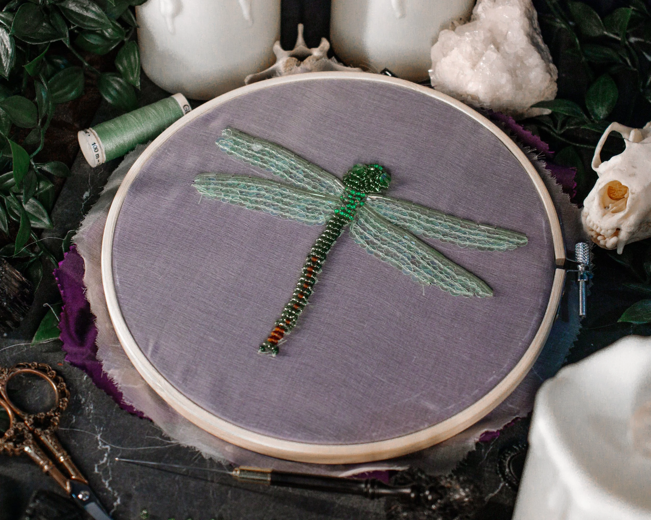 DragonFly.jpg