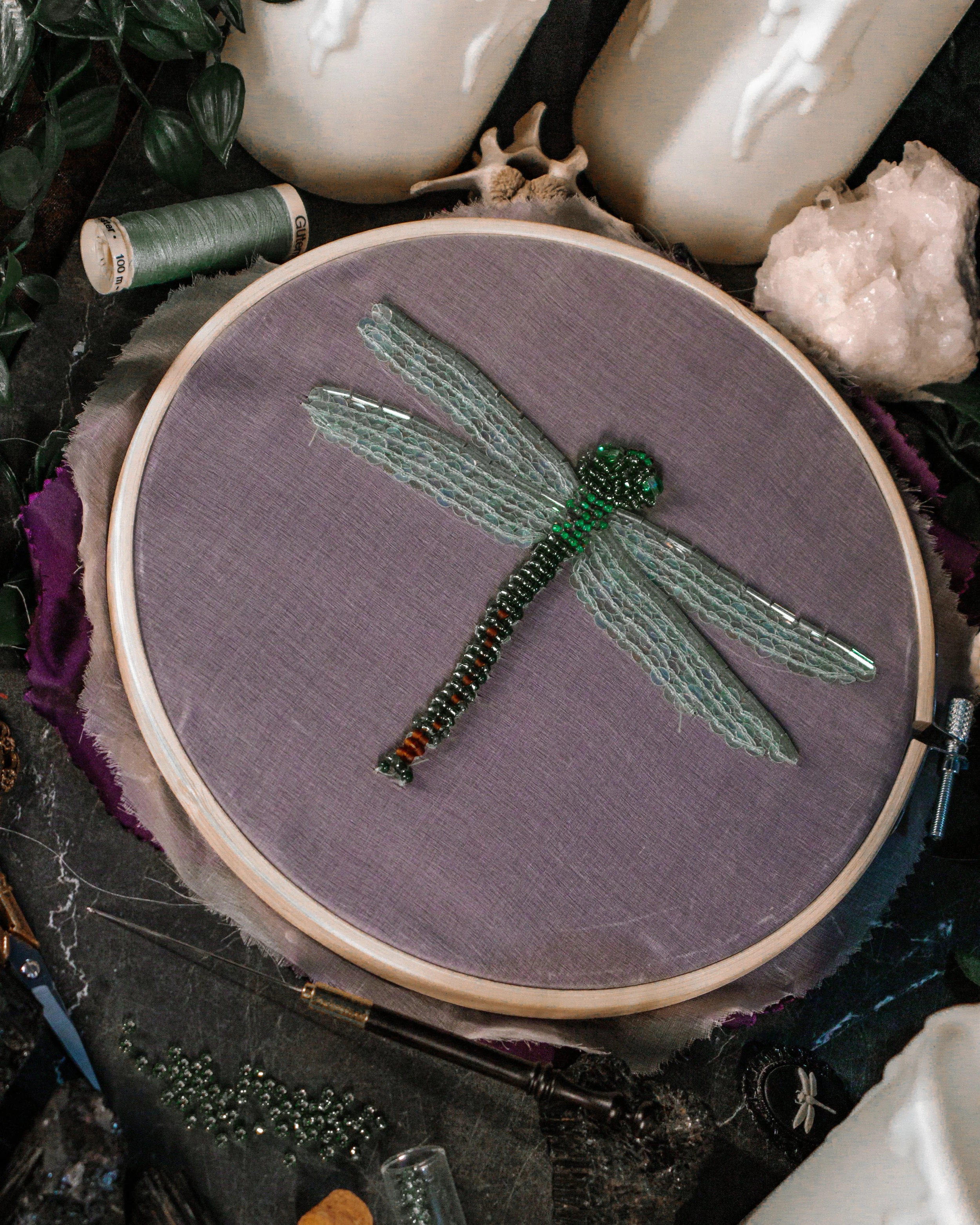 DragonFly-1.jpg