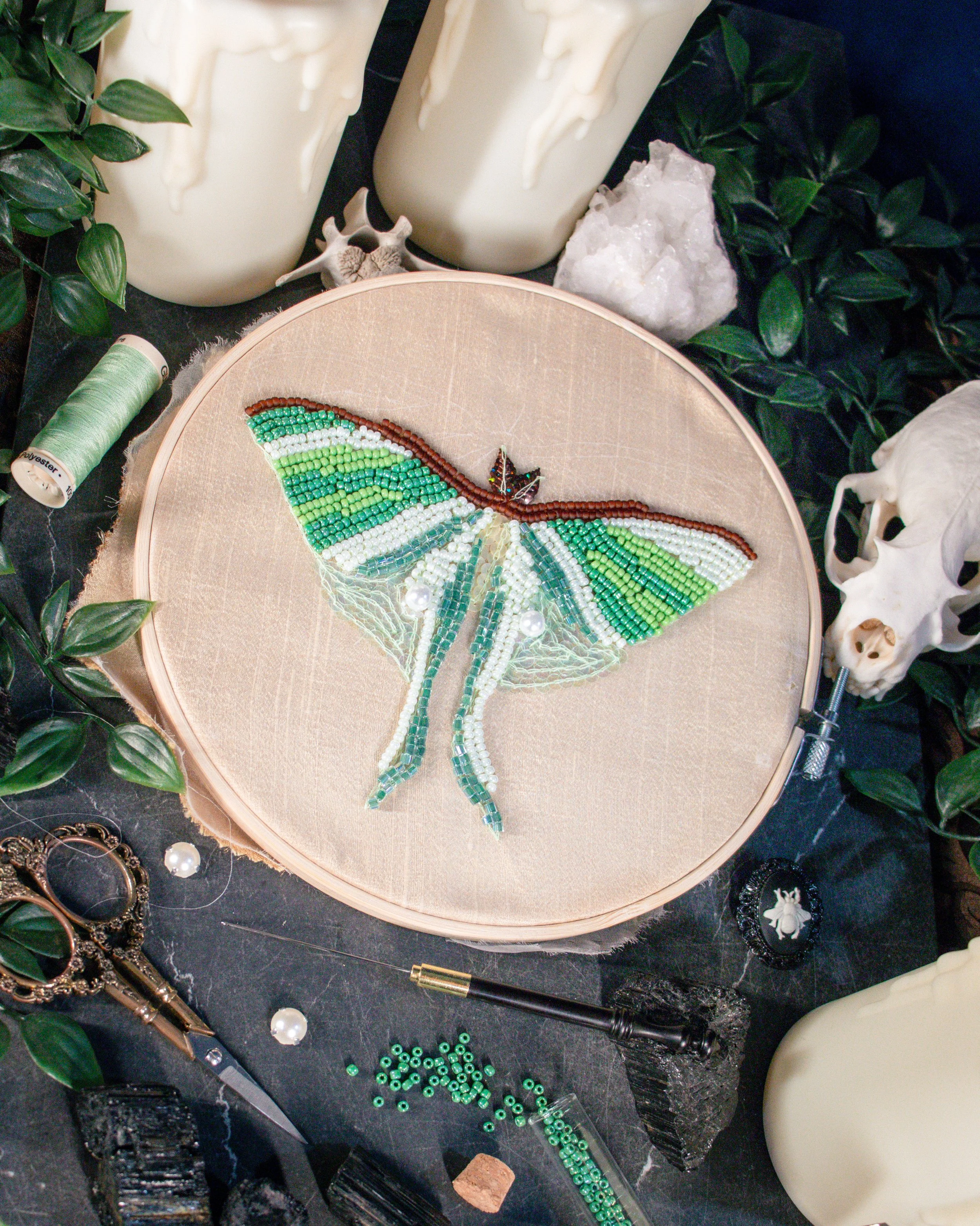 Luna Moth-2.jpg