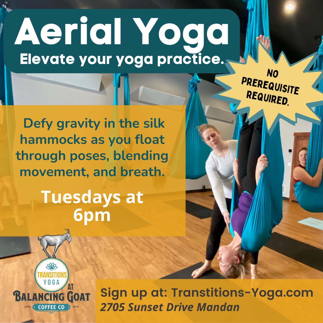 Aerial Yoga — Transitions Yoga