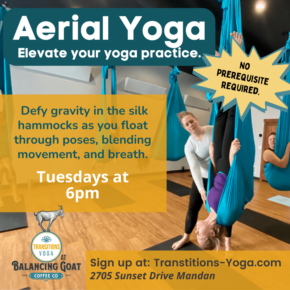 Aerial Yoga — Transitions Yoga