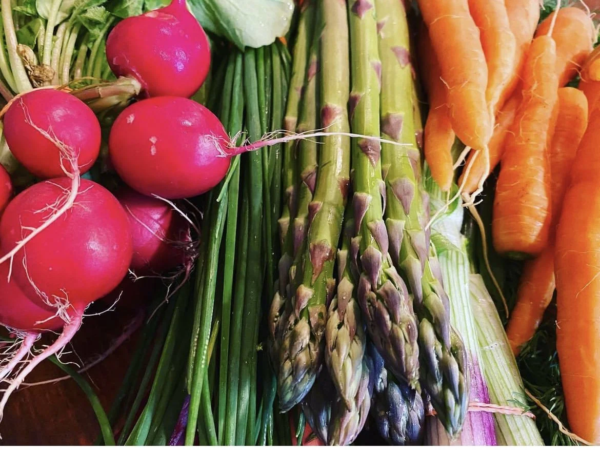Fresh vegetables from Down to Earth Harvest