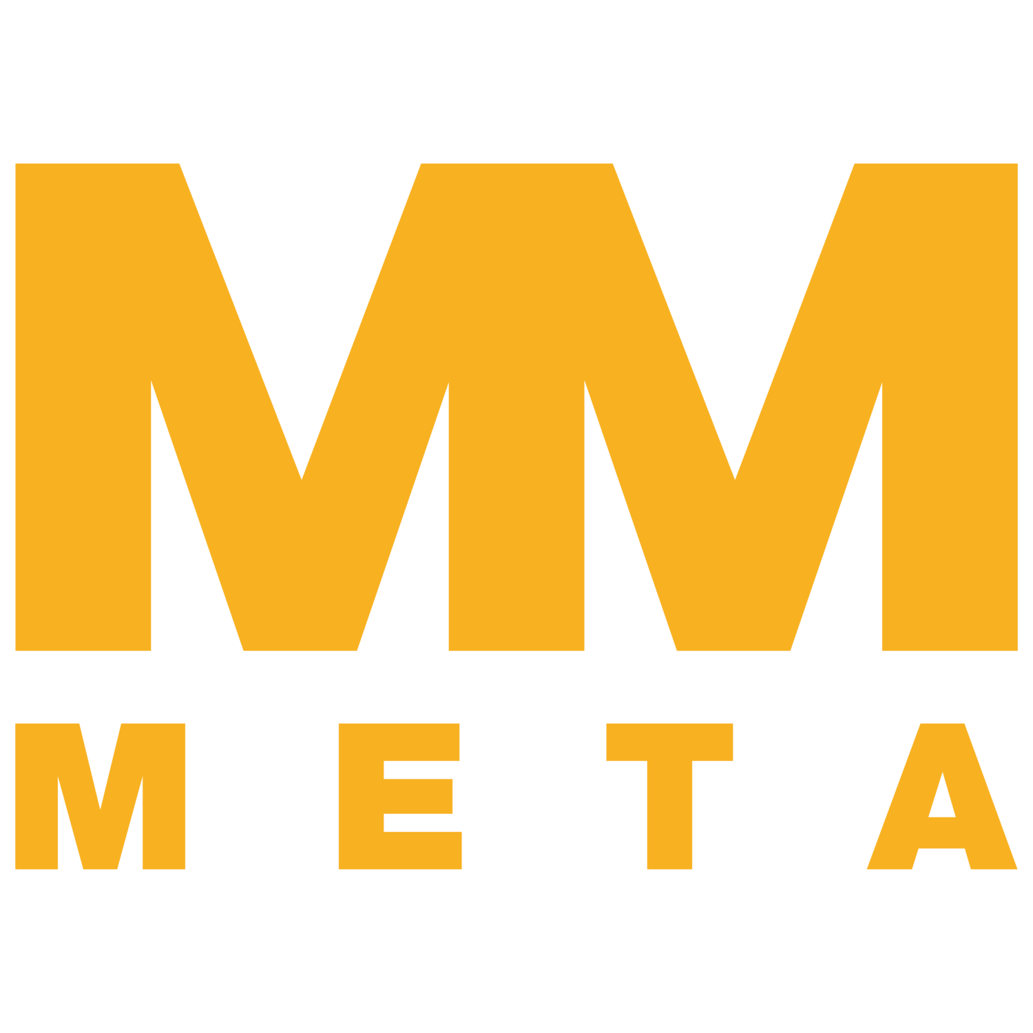 The Meta Group
