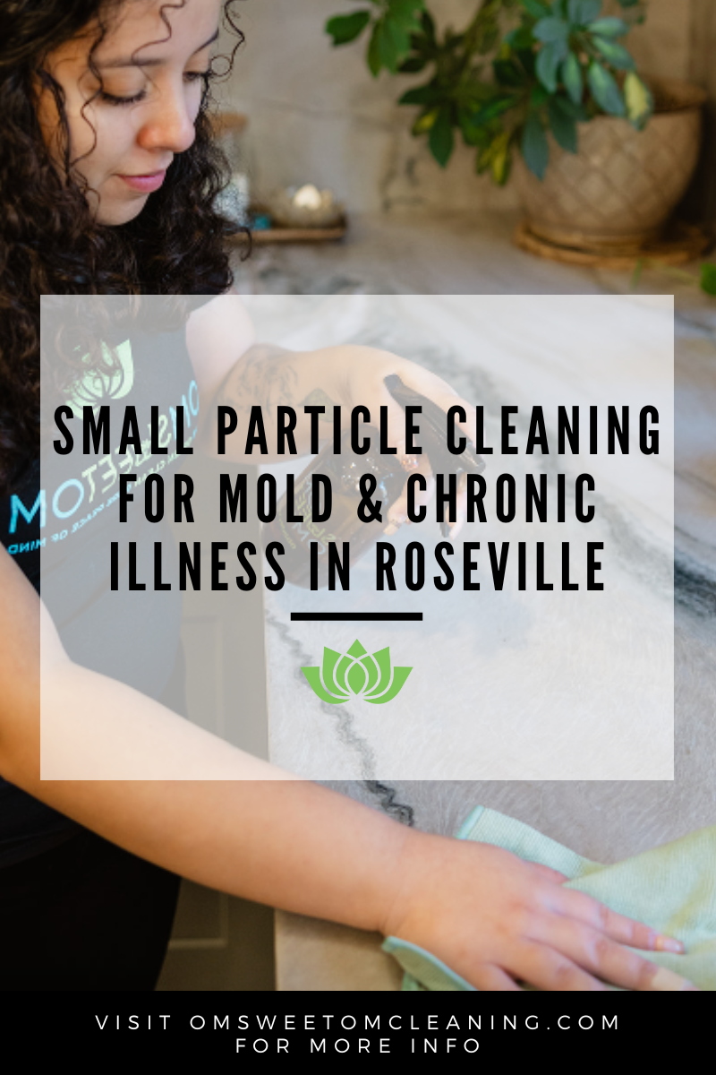 Small Particle Cleaning in Roseville: Why Mold Sensitivity Hijacks Autoimmune Conditions &amp; Lyme Disease