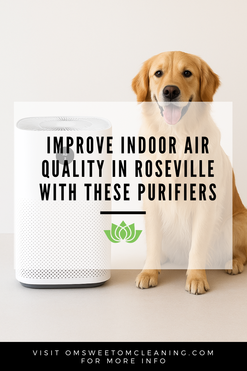  Improve Indoor Air Quality in Roseville with These Purifiers