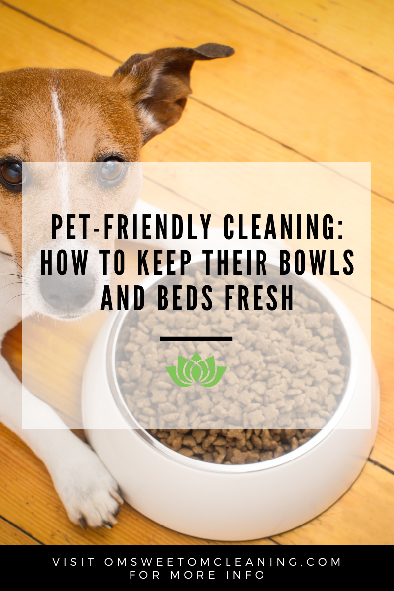 Pet-Friendly Cleaning: How to Keep Their Bowls and Beds Fresh