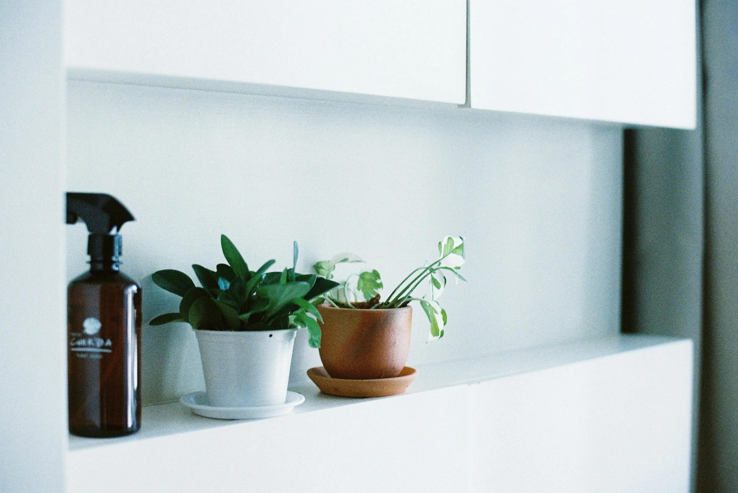Two potted plants and a spray bottle on a white shelf