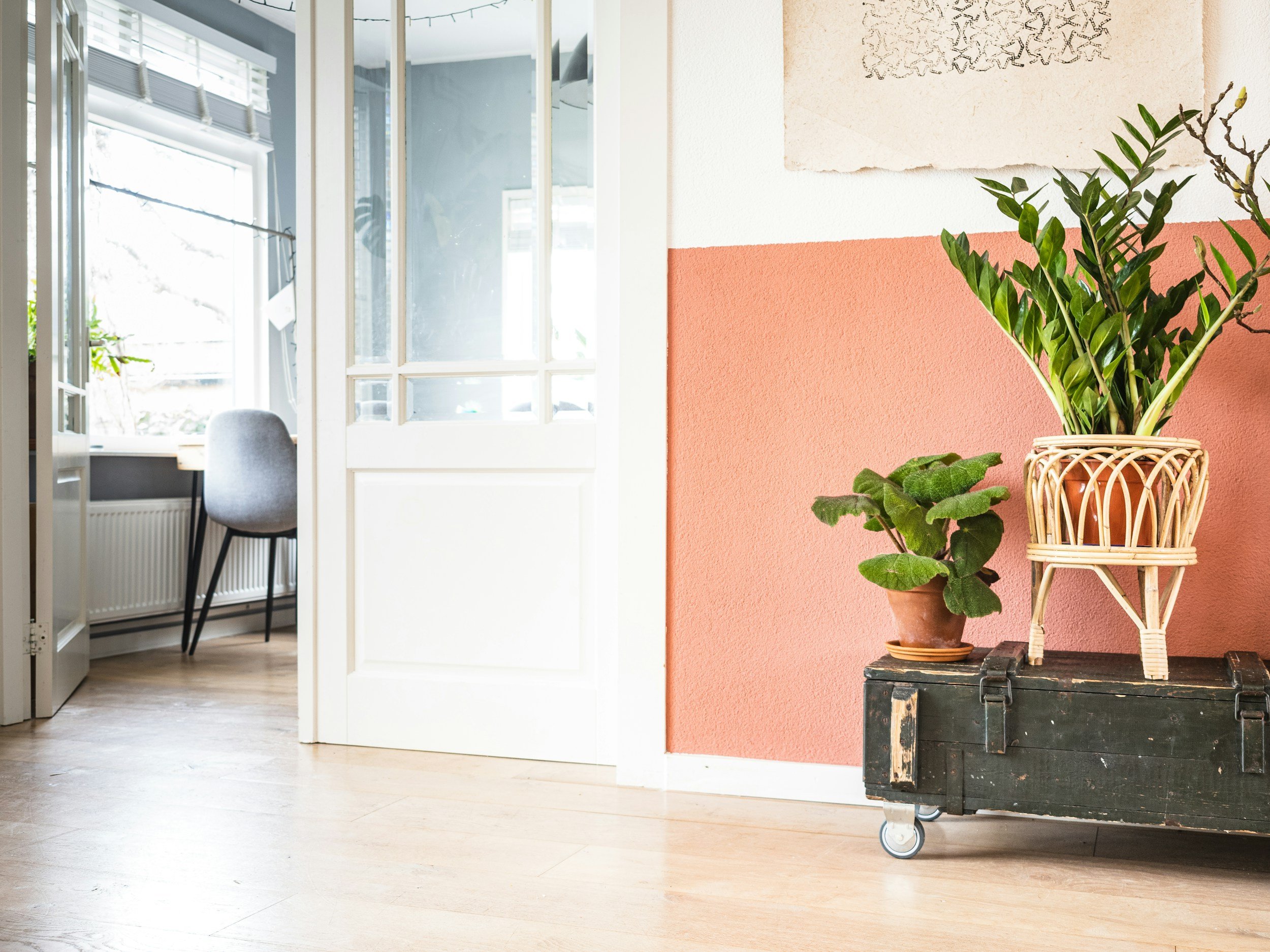 Interior room featuring a pink painted wall with a potted plant on a black wheeled cart and an open white door leading to a sunlit room with a chair and desk.