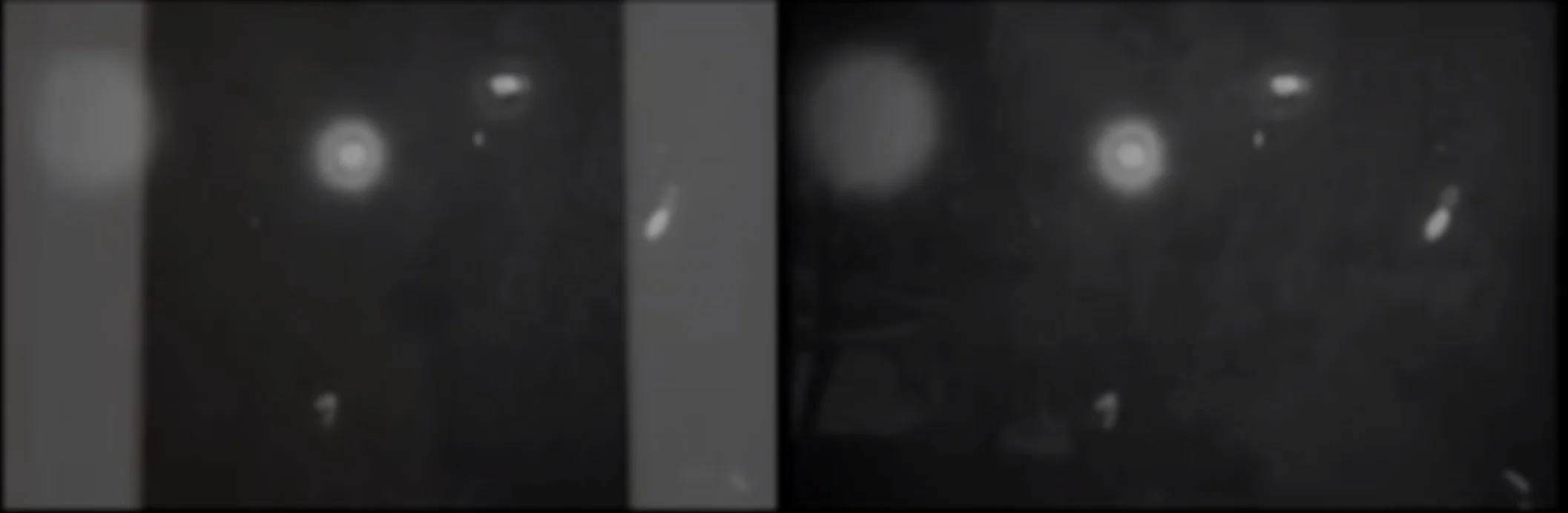 Back and Song | Philadephia Contemporary