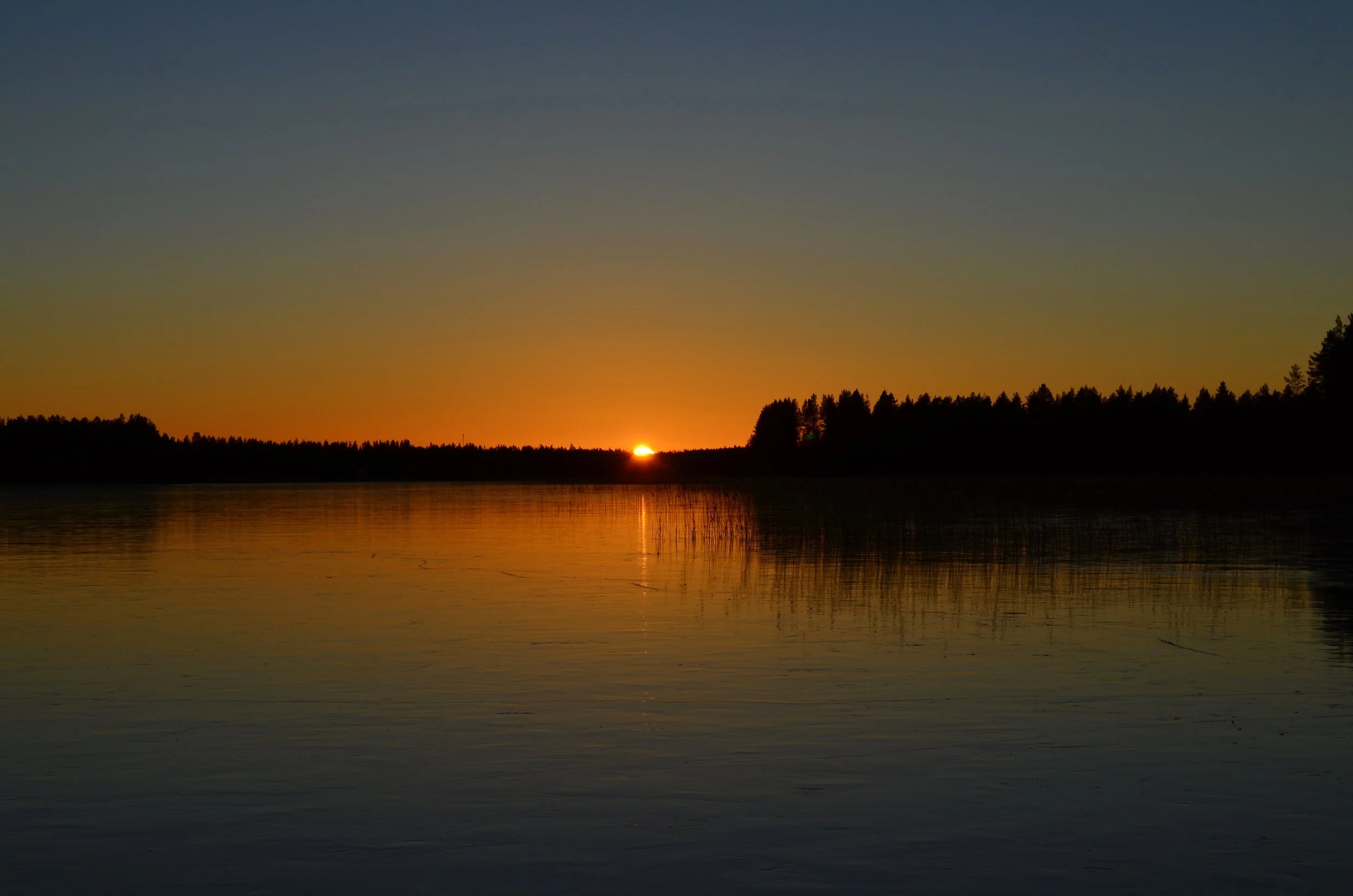 DSC_0017.jpg