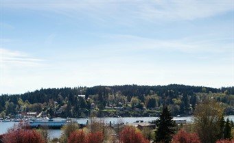 145 Ferncliff Ave NE #D-335, Bainbridge Island | $538,000