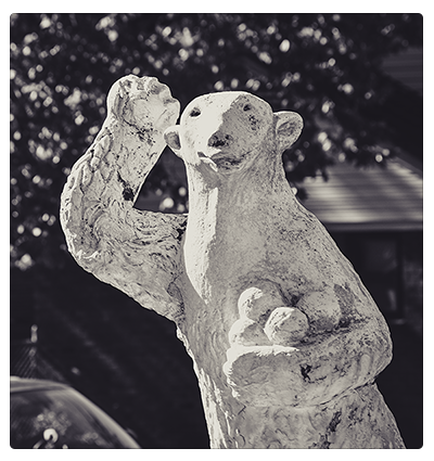 polar bears road.jpg