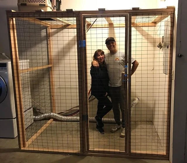 we’re living w my cuz. my house is in renovation. cuz has cats. i have time. I built this “cat poop coop” for the kitties. @robbiwalberg a@d I may have to live in it soon. #covid #projects