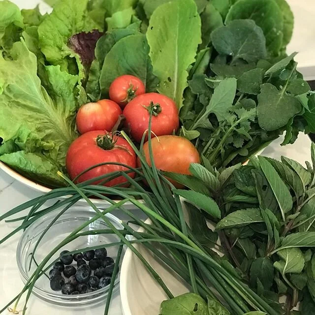 And we’re just getting started @walbergfarms #urbangarden @ronfinleyhq inspired. #gangstagardener