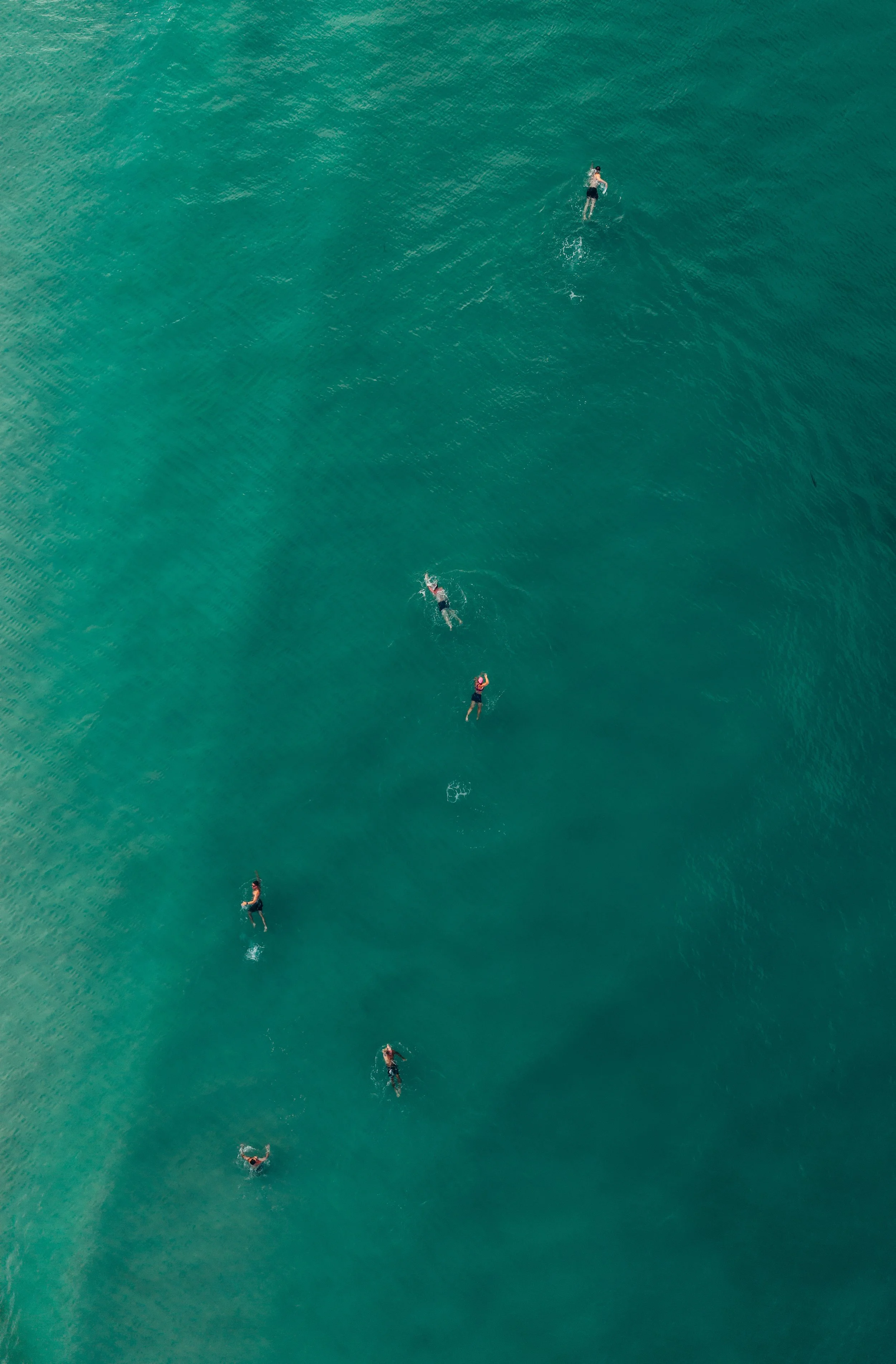dji_fly_20260628_71536 AM_0491_1782649678709_photo.jpeg