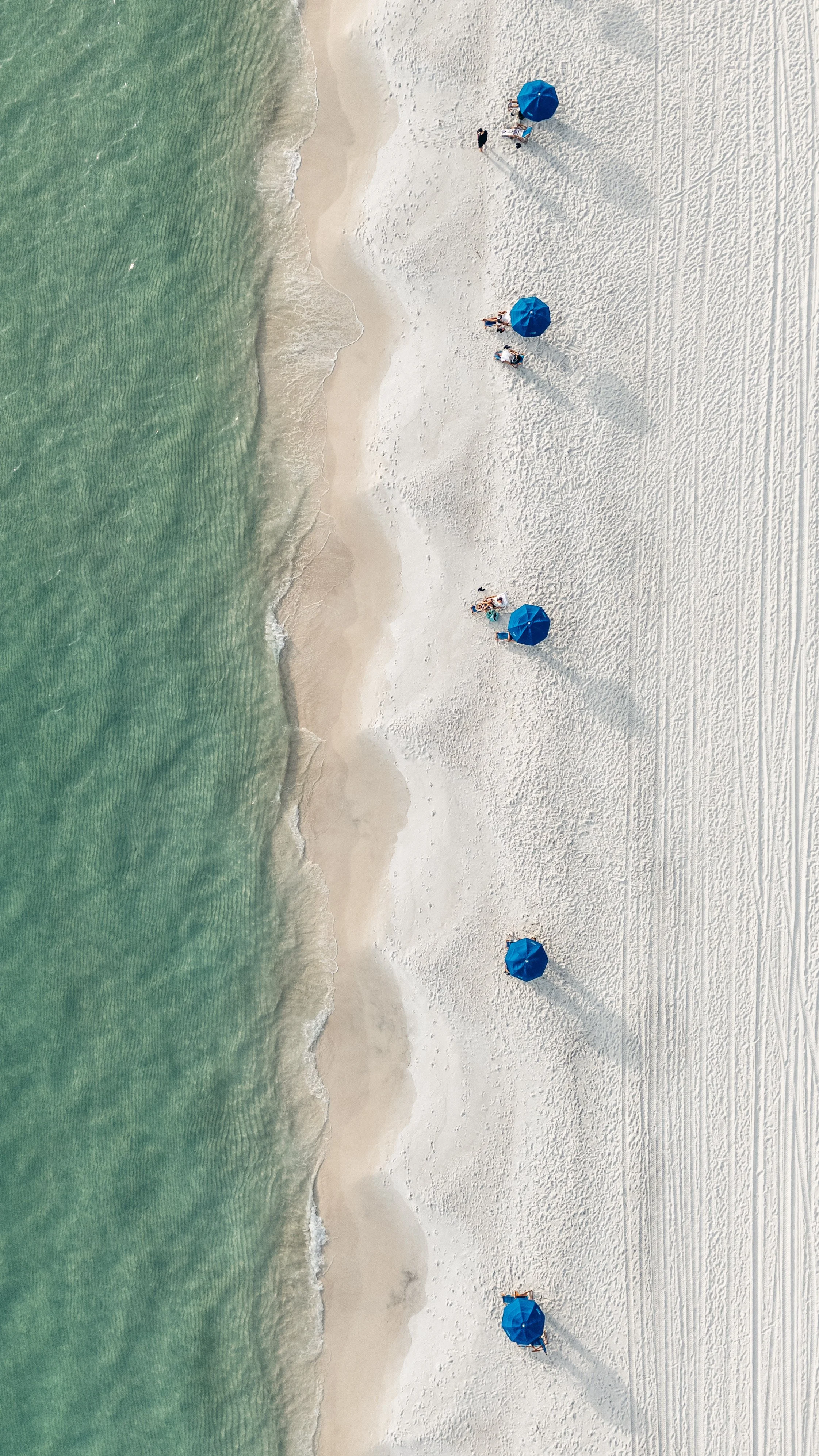 dji_fly_20251119_40328 PM_0869_1763594927917_photo.jpeg