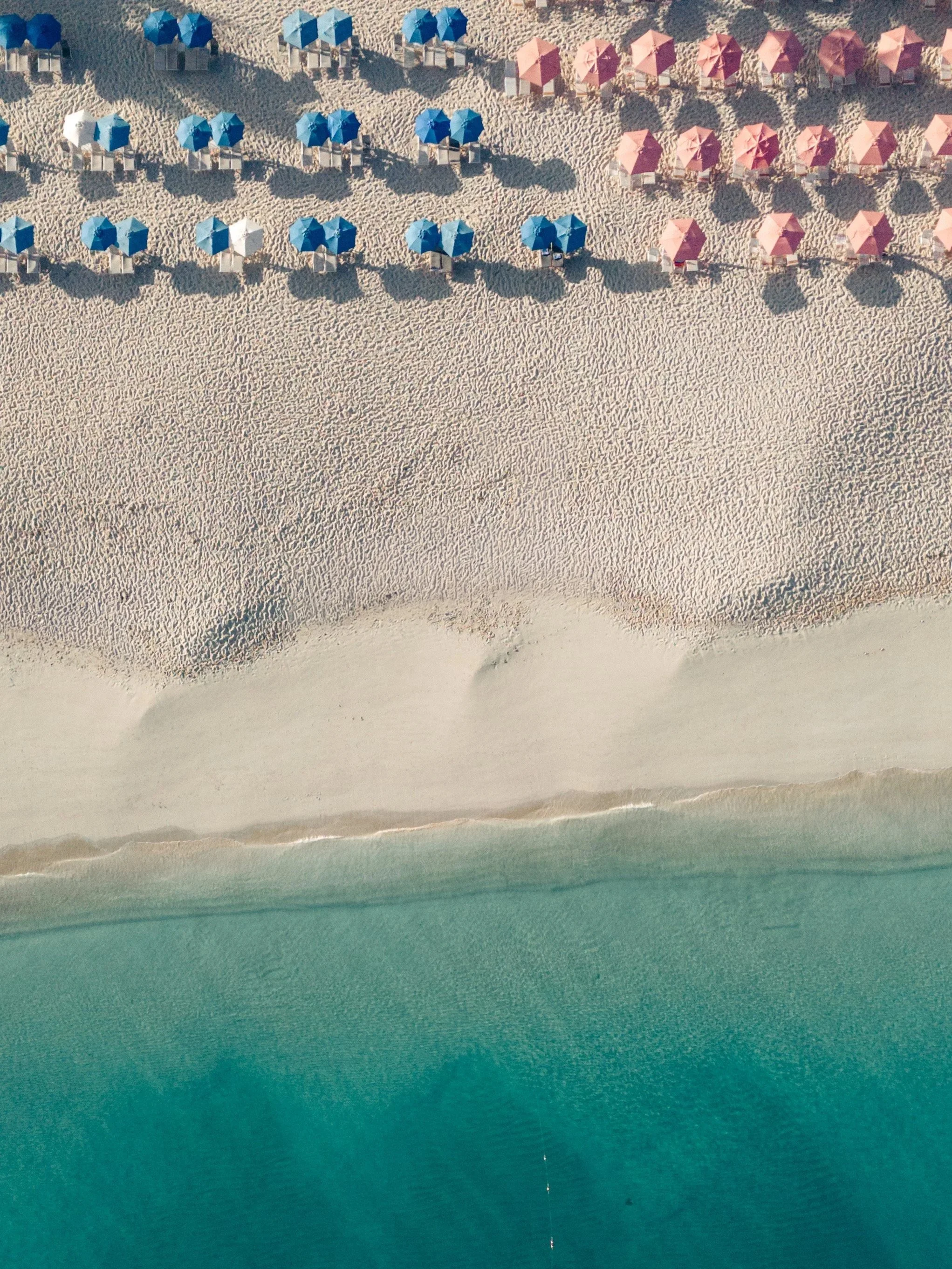 dji_fly_20260420_72802%E2%80%AFAM_0389_1776685963195_photo.jpg