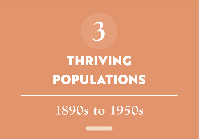 Button_Story 3_Thriving Populations.png