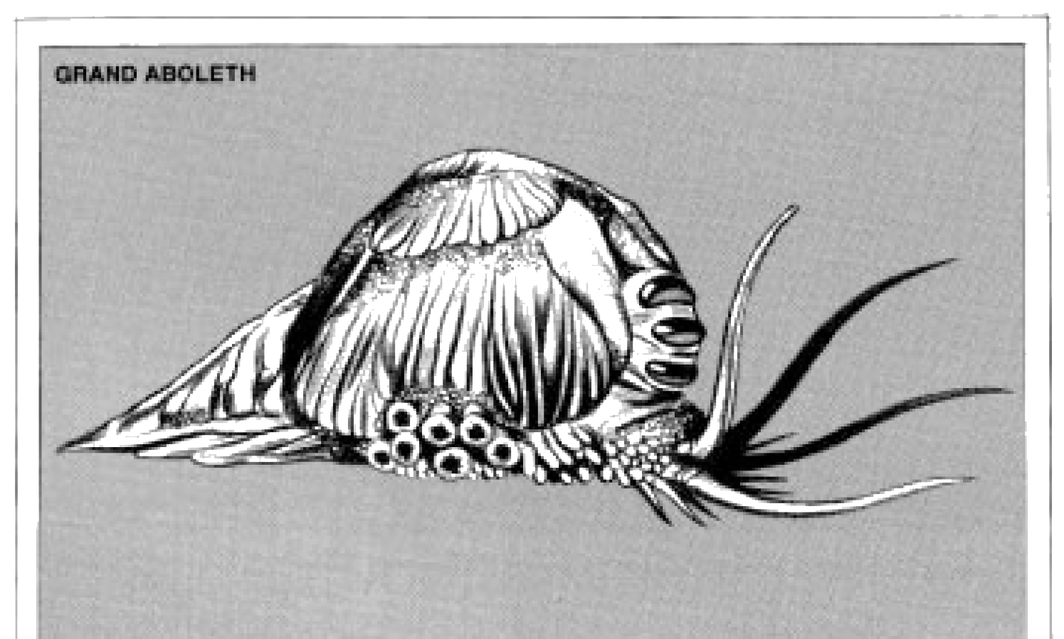 Deep Dive - The Aboleth — Dump Stat Adventures