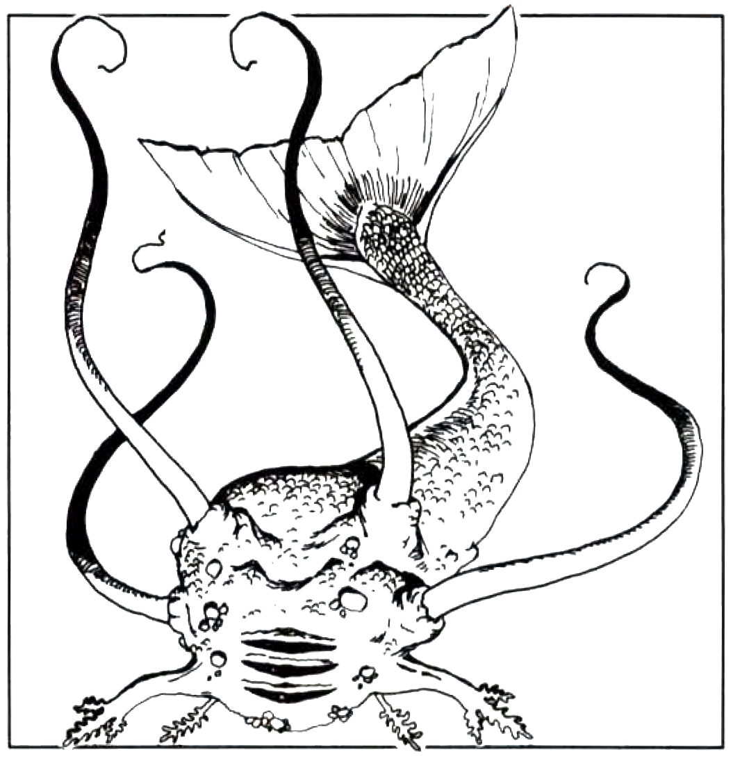 Monstrous Compendium Volume Two , 1989 TSR Inc.