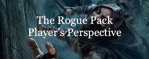 LT male rogue level up pack