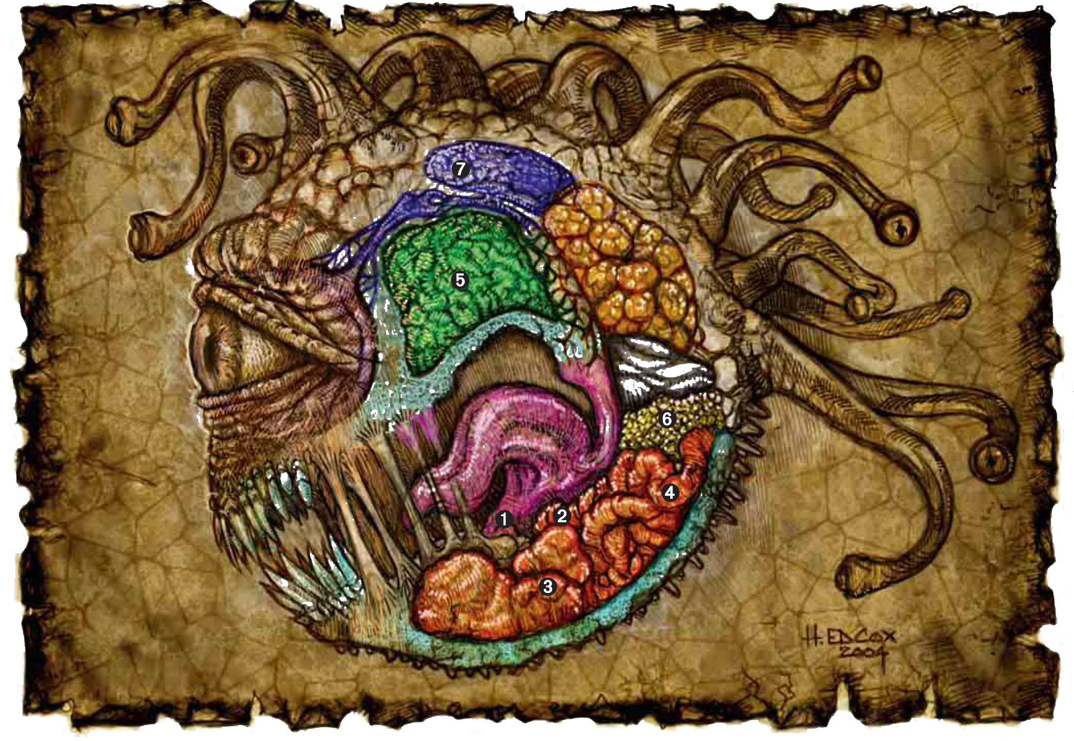 Lords of Madness: The Book of Aberrations , 2005 WotC