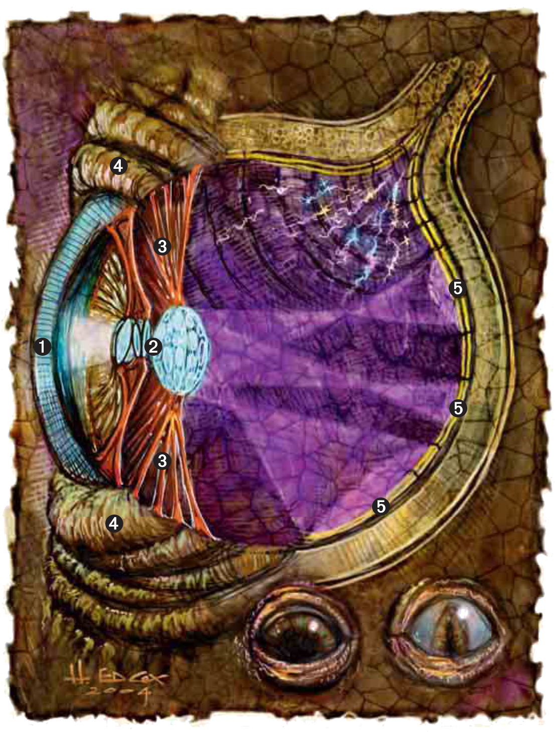 Lords of Madness: The Book of Aberrations , 2005 WotC