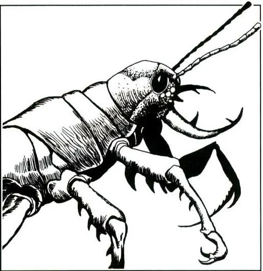 Deep Dive - The Ankheg — Dump Stat Adventures