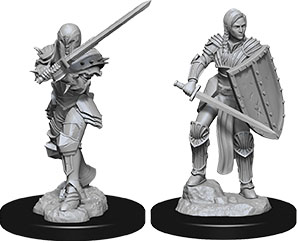 Human Female Fighter