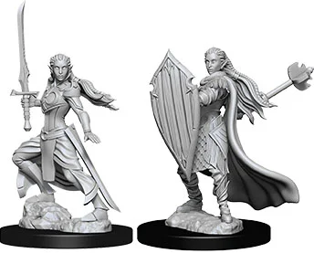 Elf Female Paladin