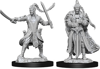 Elf Male Paladin