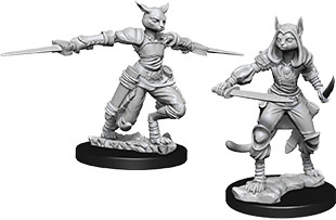 Tabaxi Female Rogue