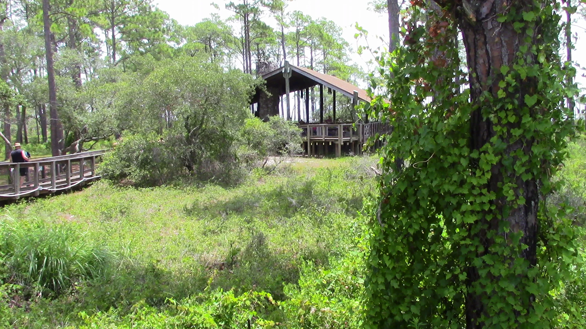 BAY CAMP 2015 442.JPG