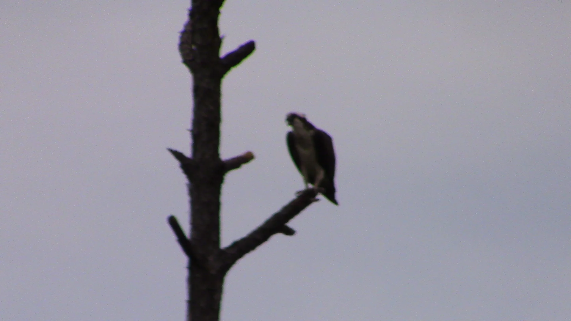 BAY CAMP 2015 461.JPG