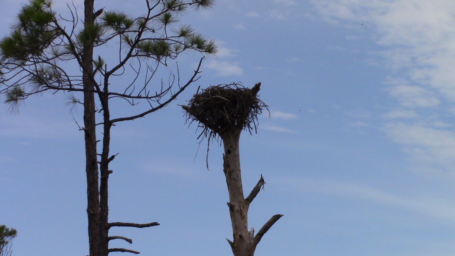 BAY CAMP 2015 465.JPG